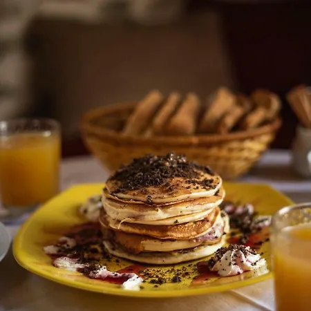 Archontiko Montana 4* Vizitsa