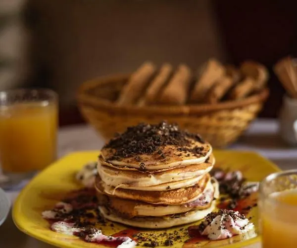 Archontiko Montana 4* Vizitsa